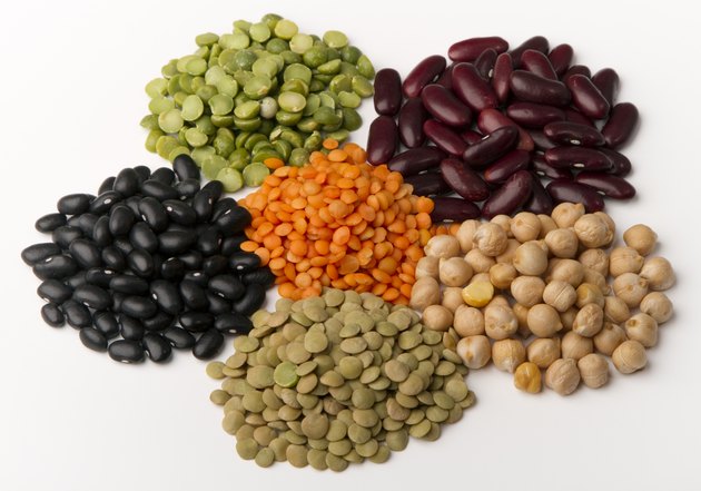 different species of legumes