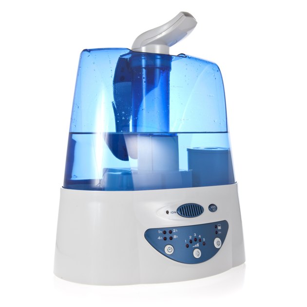 Humidifier with ionic air purifier