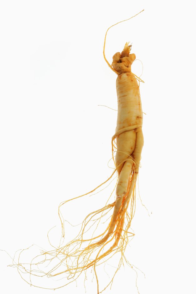 Close-up of Ginseng