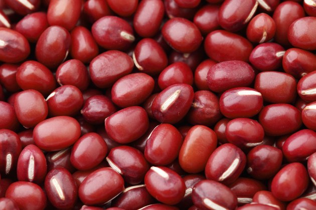 Red Bean Adzuki close up