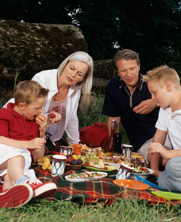 Family having a picnic.