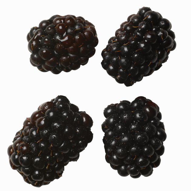 Close-up of blackcurrants