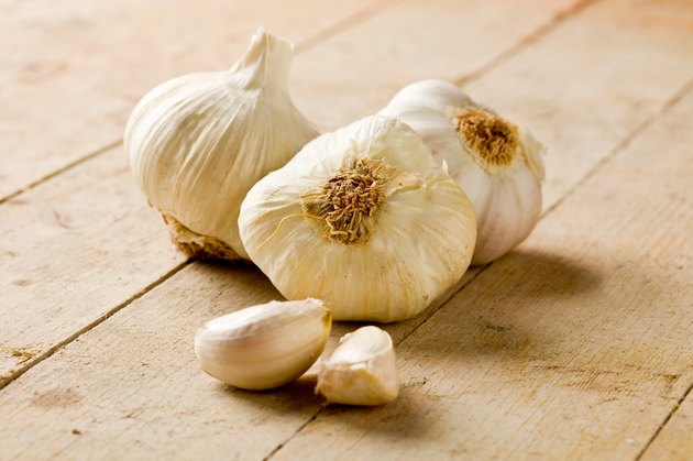 Garlic