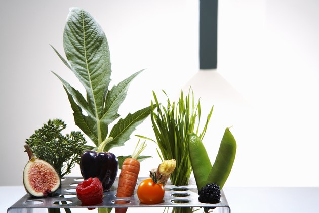Test tube holder with different vegetables and fruits, studio shot