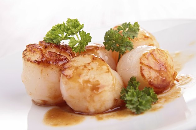 scallop