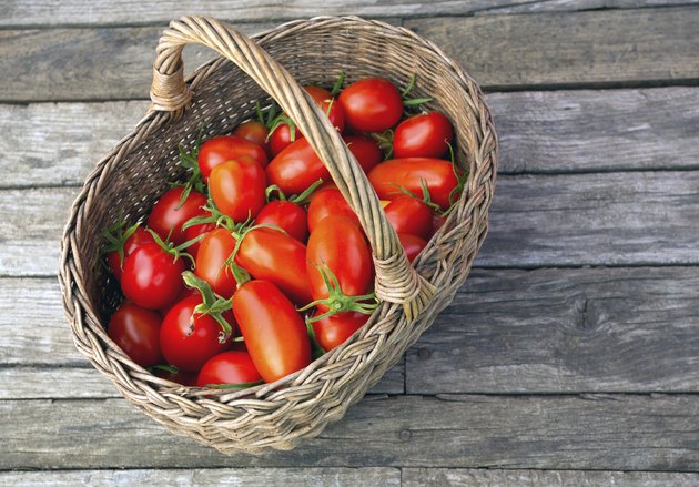 basket with fresh tomatoes