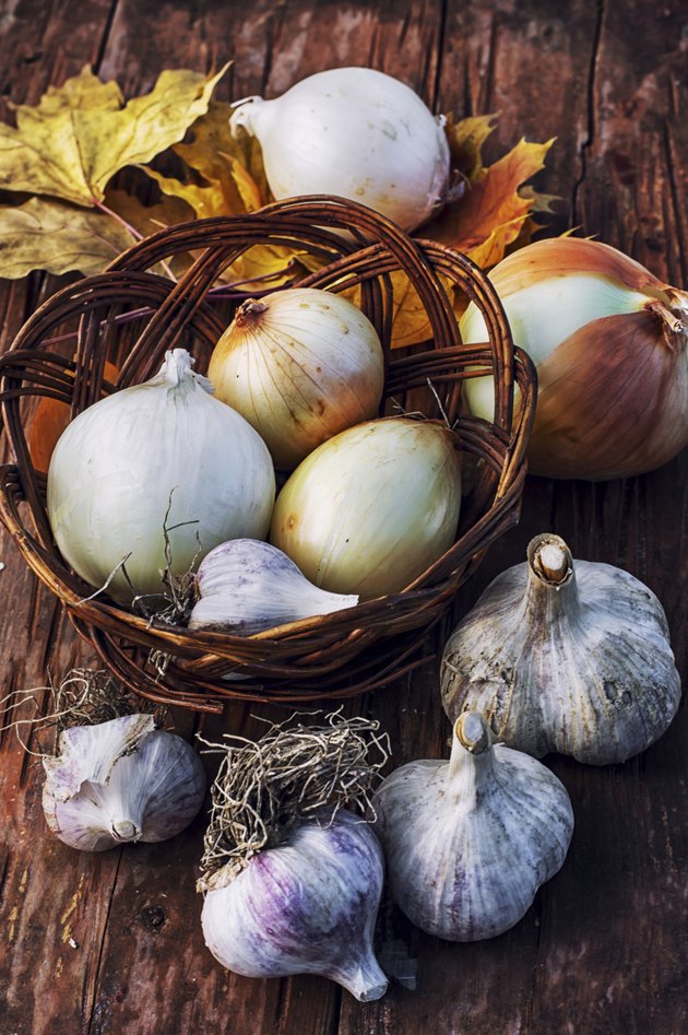 garlic