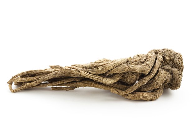 Angelica sinensis(Traditional Chinese Medicine)