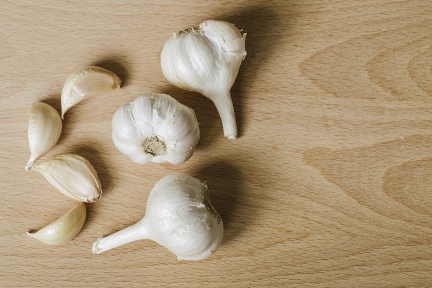 garlic