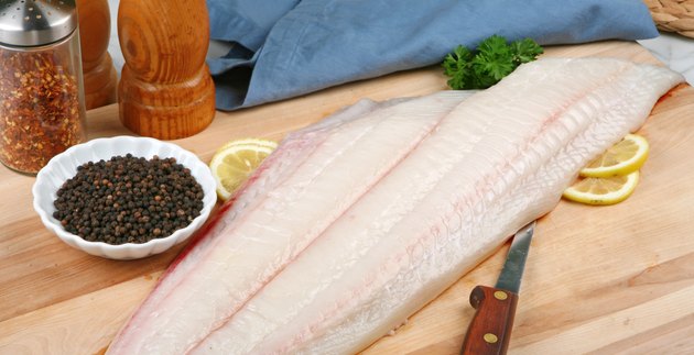 halibut