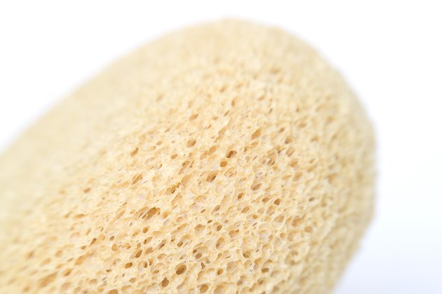 A stock photograph of a detailed close up of a sponge.