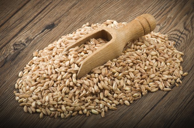 Spelt Grain