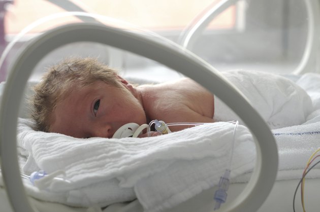 Newborn baby in incubator