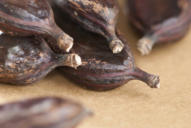 carob, Ceratonia siliqua