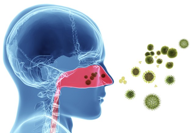 Pollen allergy / Hay fever