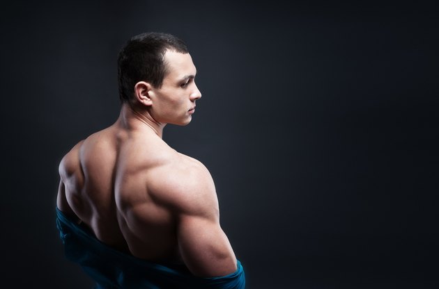 Muscled male model showing his back
