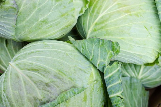 Cabbages