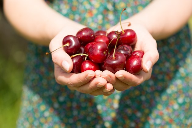 Close up of a woman holding some cherries