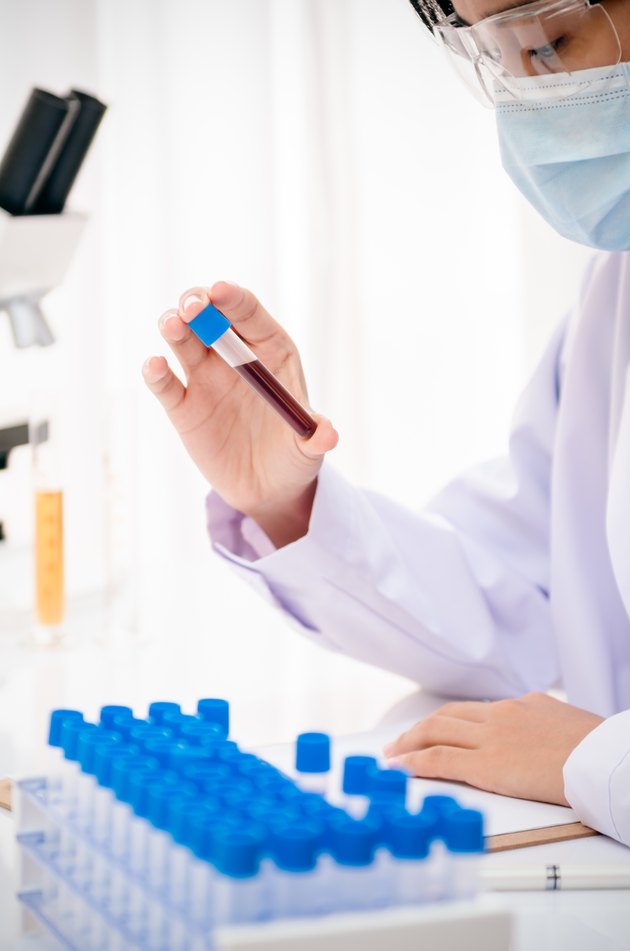 scientist in research lab