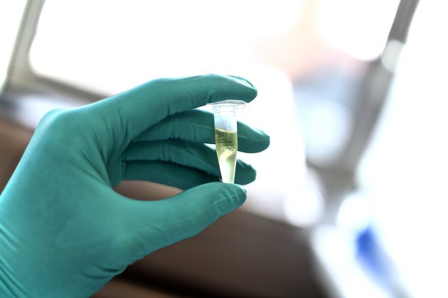 Test tube
