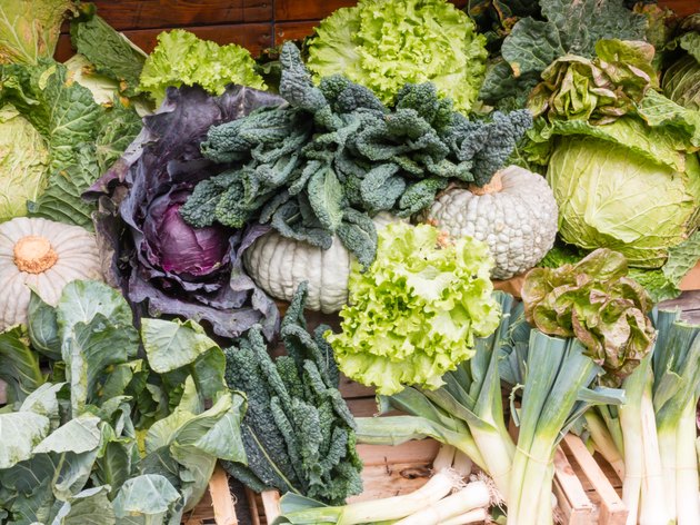Group of Fresh Organic Assorted Green Vegetables