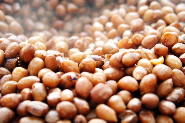 Full frame of peanuts