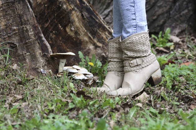 Girl in the forest