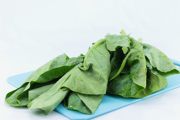 fresh green leaves of collards