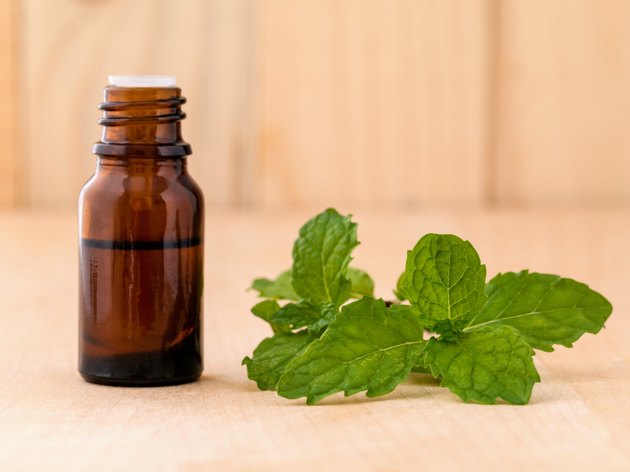 Bottle of mint essential oil on wooden background .