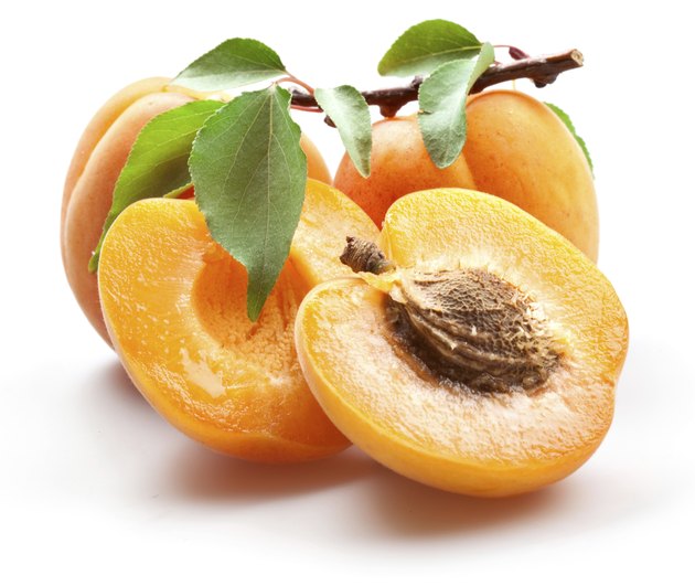 Apricots isolated