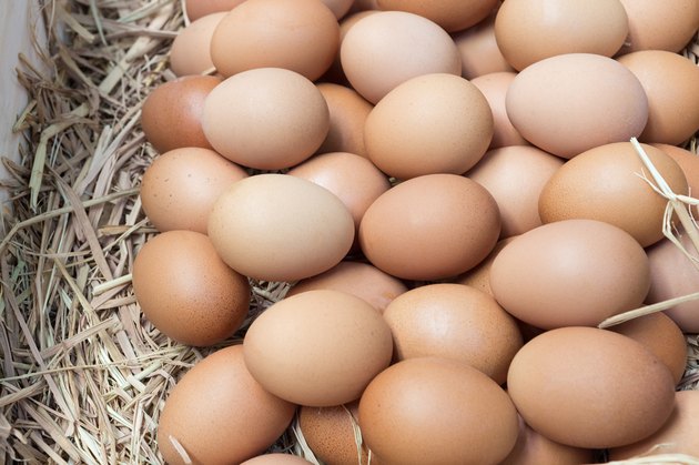 Eggs