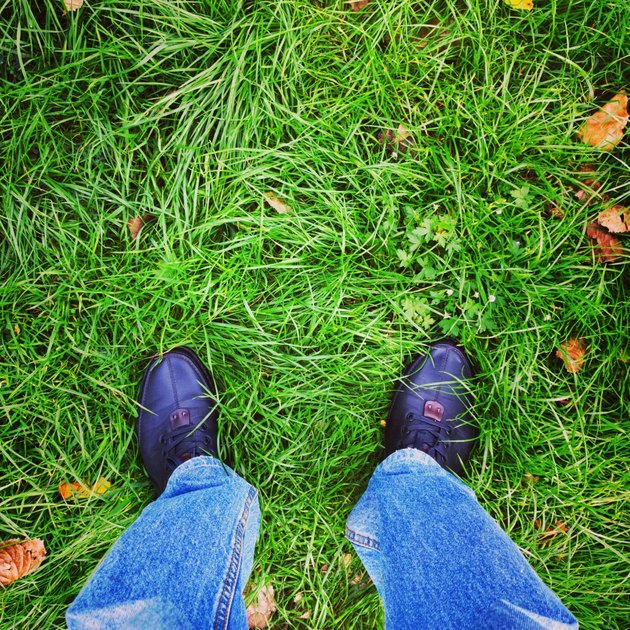 Foot on the field.