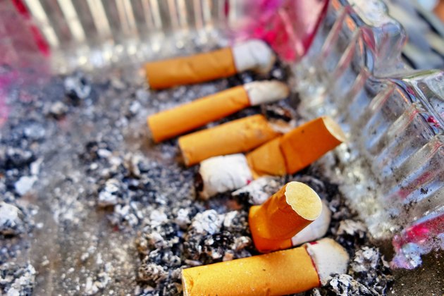 cigarette filter in ashtray