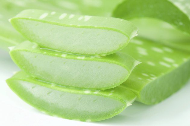 Aloe vera plant for skincare