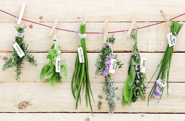 Hanging Herbs