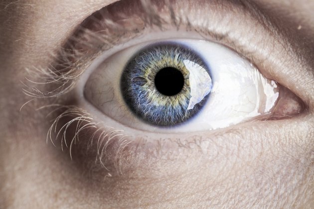 Macro blue eye with lots of details