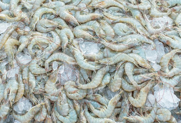 shrimp,