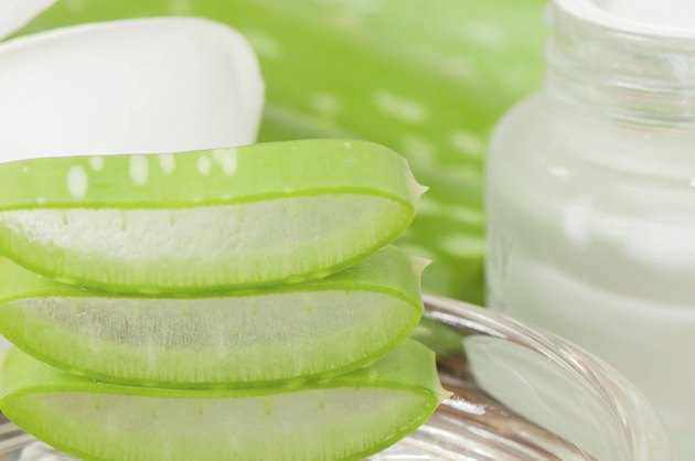 Aloe vera plant for skincare
