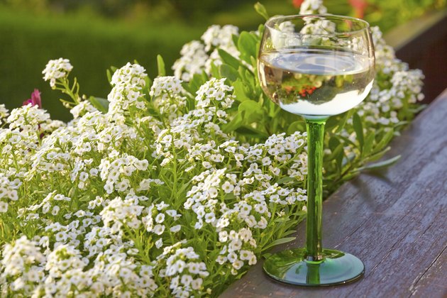 Wine glass with beautiful flowers