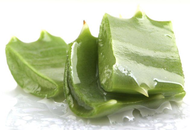Aloe Vera