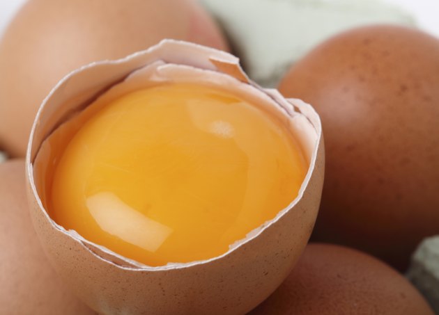 Egg yolk macro
