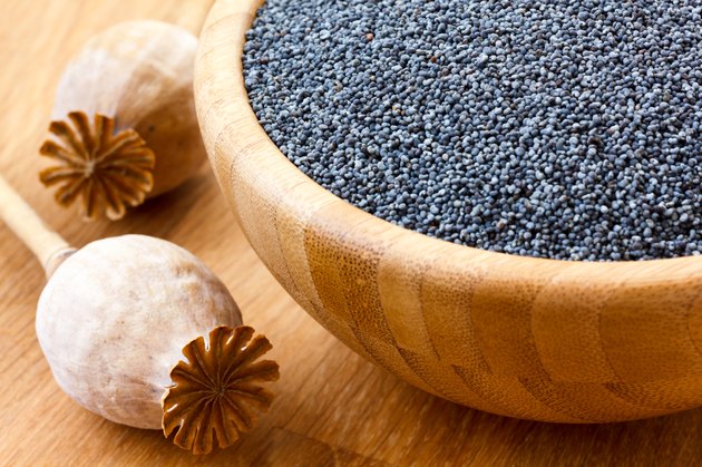 Poppy seeds in wood bowl with two dried pods.
