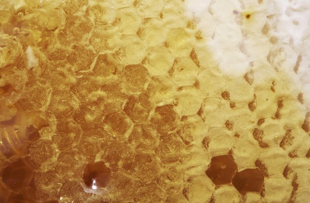 Manuka Honey Cluster