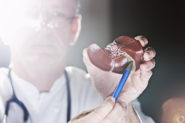 Doctor pointing at gall bladder