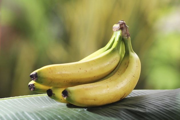 Foods That Contain Inulin | Livestrong.com