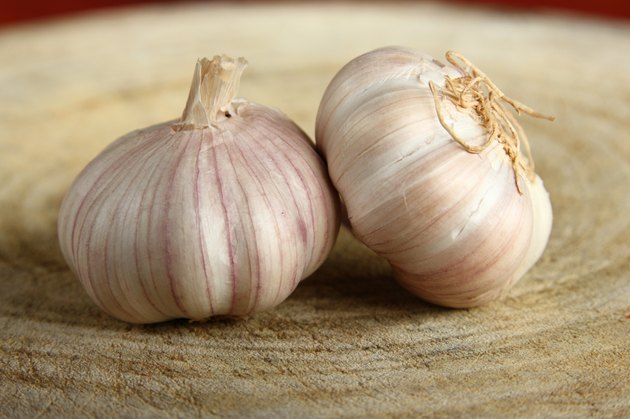 Garlic on the wood