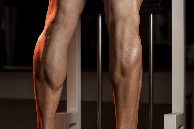 Sporty Legs Calf