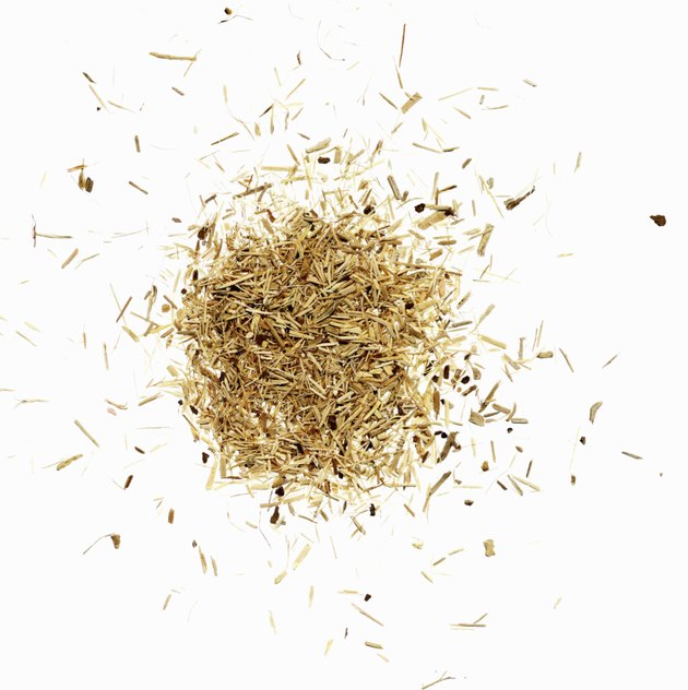 Siberian ginseng (Eleutherococcus senticosus)
