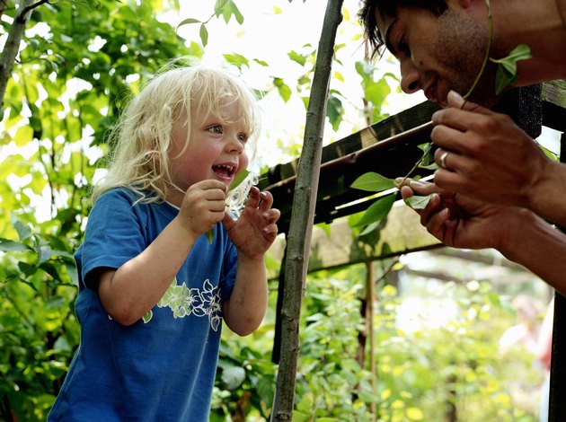 Father showing boy (2-5) plant in garden