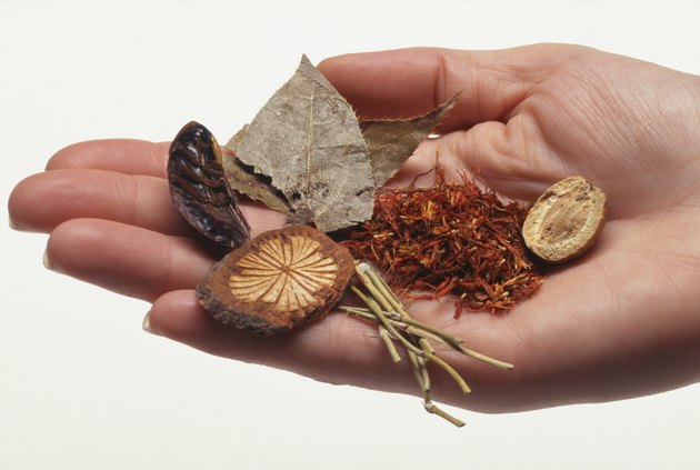 Woman holding herbal remedy ingredients, close up of hand